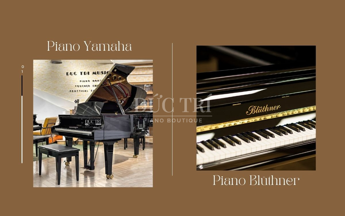 so sánh đàn piano Yamaha và Bluthner, nên chọn dòng đàn nào?