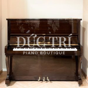 Đàn piano Friedrich F104 special