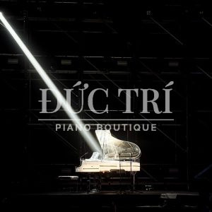 Đàn piano Schreiner & Söhne Crystal SG168 LED (2)