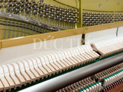Dây đàn và búa đàn của đàn Yamaha U3 SAW