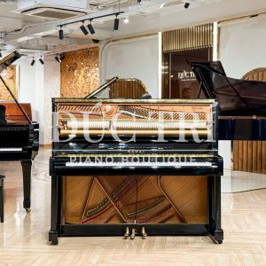 Hình ảnh bên trong đàn Kawai Ns10