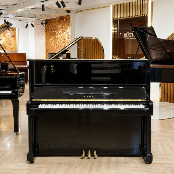 Kawai Ns10