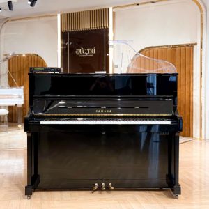 Mặt trước đàn YAMAHA YM11SXGZ