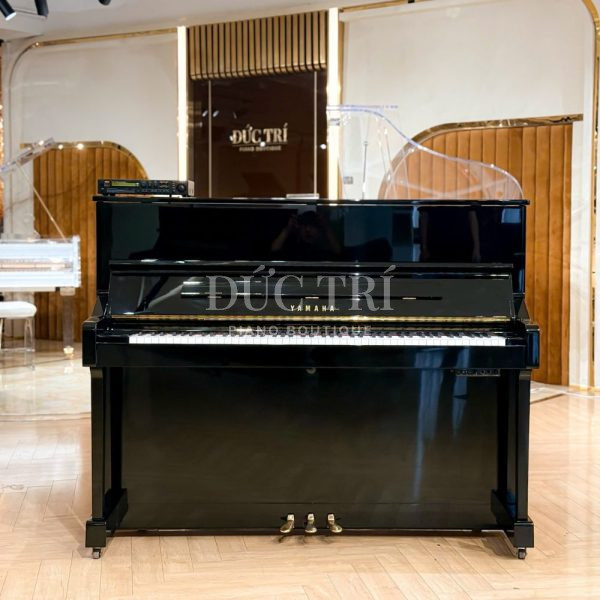Màu đen bóng trên đàn YAMAHA YM11SXGZ