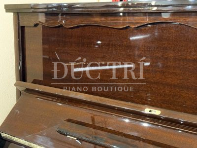 Màu sắc trên đàn Friedrich F104 special