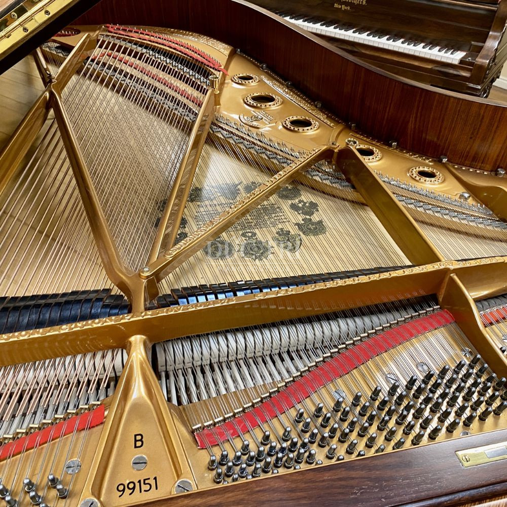 Model B tren Steinway Sons Model B Art Case Steinway & Sons Model B Art-Case Model B trên Steinway & Sons Model B Art-Case