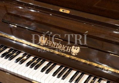 Phía trước đàn Friedrich F104 special