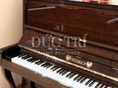 Phím đàn trên đàn Friedrich F104 special