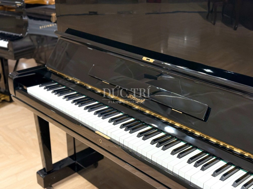 Phím đàn trên đàn Horugel WG-9