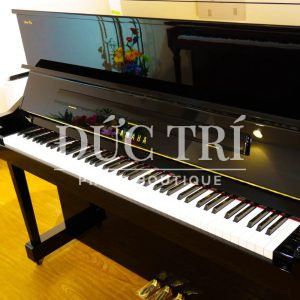 Thiết kế đàn yamaha ym11sxgz