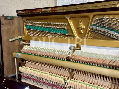 Tuning pin và dây đàn trên đàn Atlas A30B