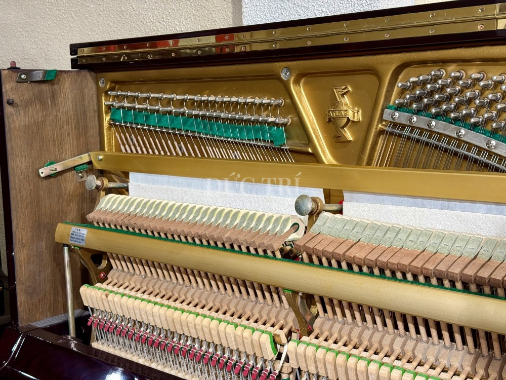 Tuning pin và dây đàn trên đàn Atlas A30B