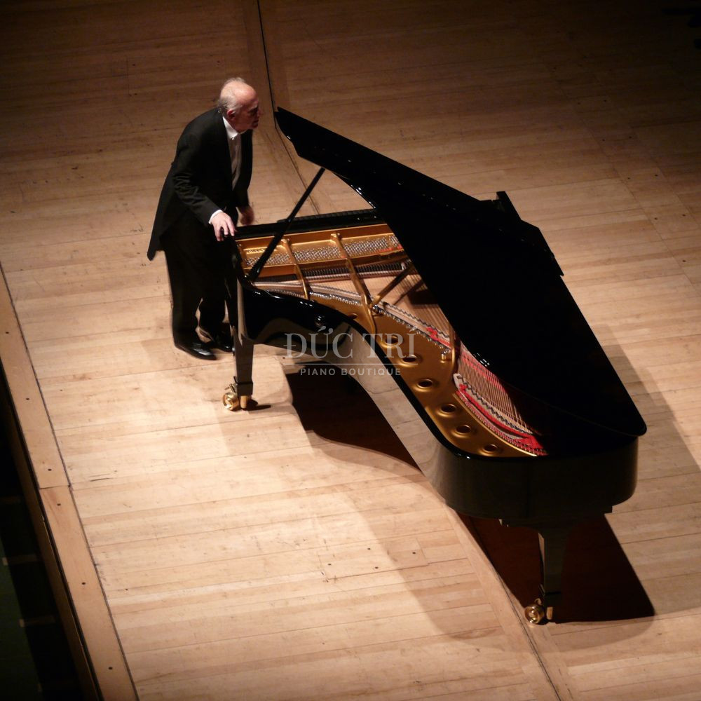 Bosendorfer Imperial 290 cay flagship trong phong hoa nhac giá đàn Bösendorfer Bösendorfer Imperial 290 cây flagship trong phòng hòa nhạc