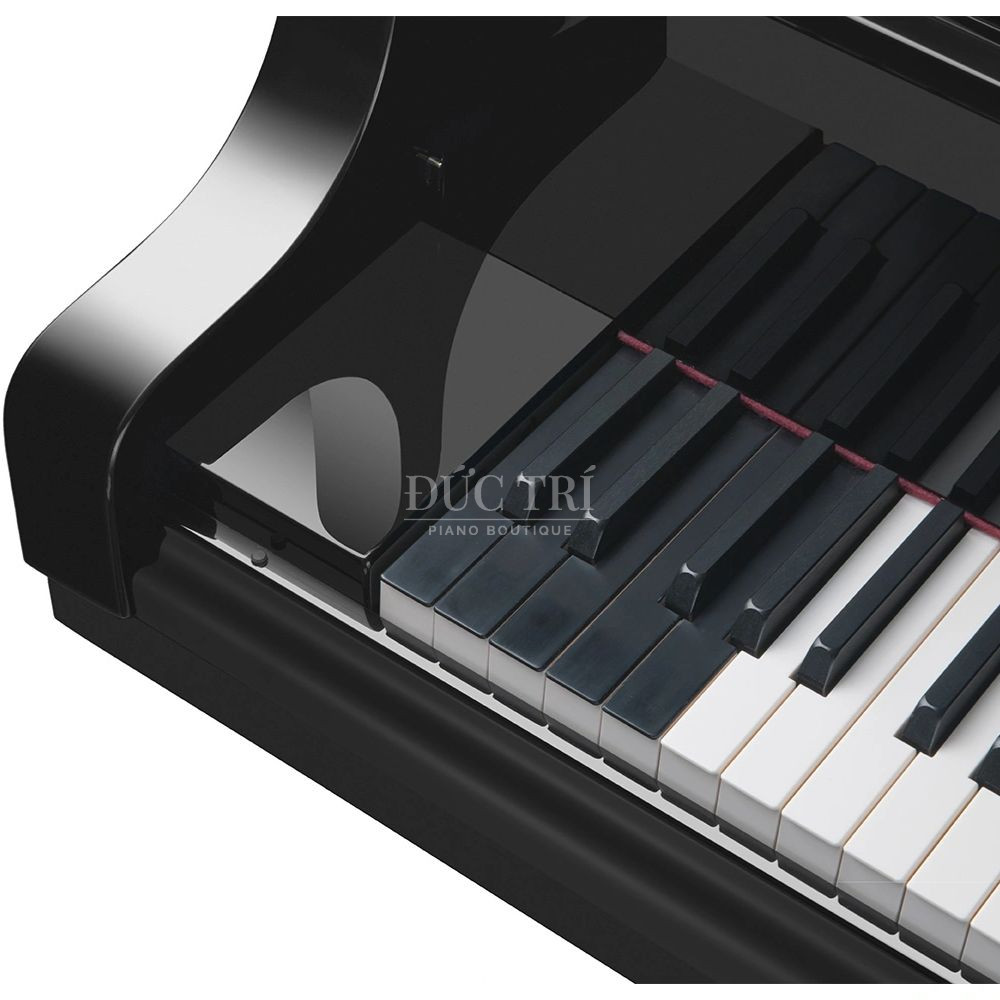 Chin muoi bay phim cua Bosendorfer Imperial 290 voi dai bass cuc tram đàn piano Bösendorfer Chín mươi bảy phím của Bösendorfer Imperial 290 với dải bass cực trầm