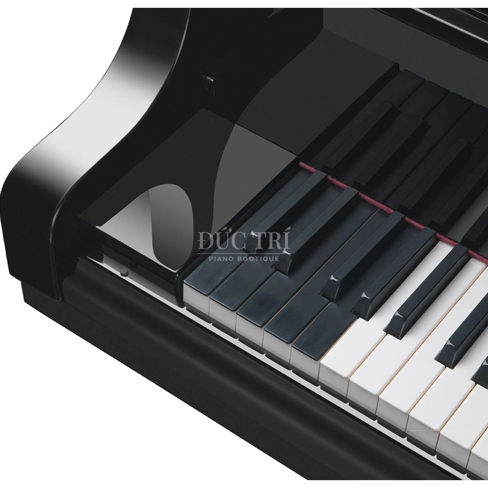 Chin phim tram mo rong dac trung cua Bosendorfer Imperial 290 Bösendorfer Imperial 290 Chín phím trầm mở rộng đặc trưng của Bösendorfer Imperial 290