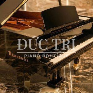 Đàn Piano Bösendorfer: Năm Bí Mật Tạo Nên Một Kiệt Tác Vĩnh Cửu