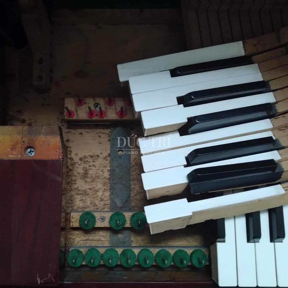 Dan piano bi am moc do cach bao quan dan piano co khong dung cach cách bảo quản đàn piano cơ Đàn piano bị ẩm móc do cách bảo quản đàn piano cơ không đúng cách