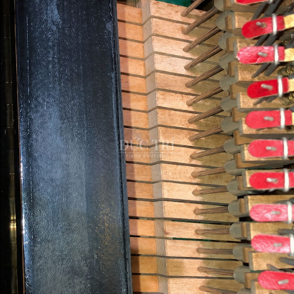 Do am anh Huong Piano Co gay am moc Độ ẩm ảnh Hưởng Piano Cơ Độ ẩm ảnh Hưởng Piano Cơ gây ẩm mốc