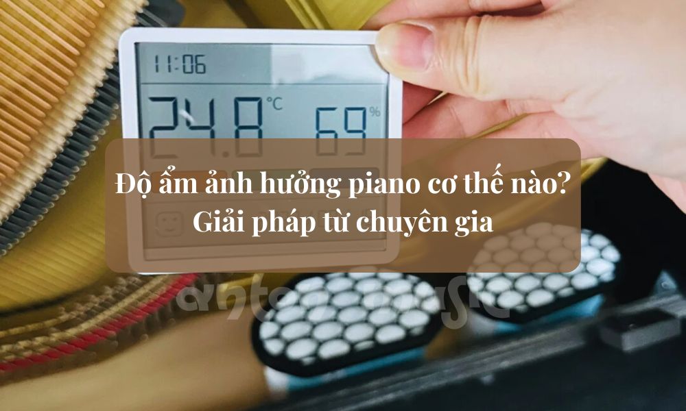Độ ẩm ảnh hưởng piano cơ thế nào? Giải pháp từ chuyên gia