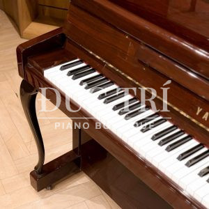 Màu sắc trên đàn Yamaha LX-113 CP-PM
