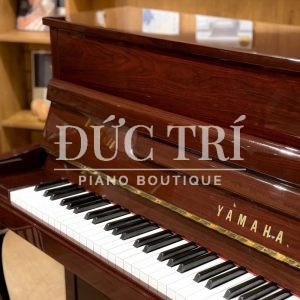 Phím đàn trên đàn Yamaha LX-113 CP-PM