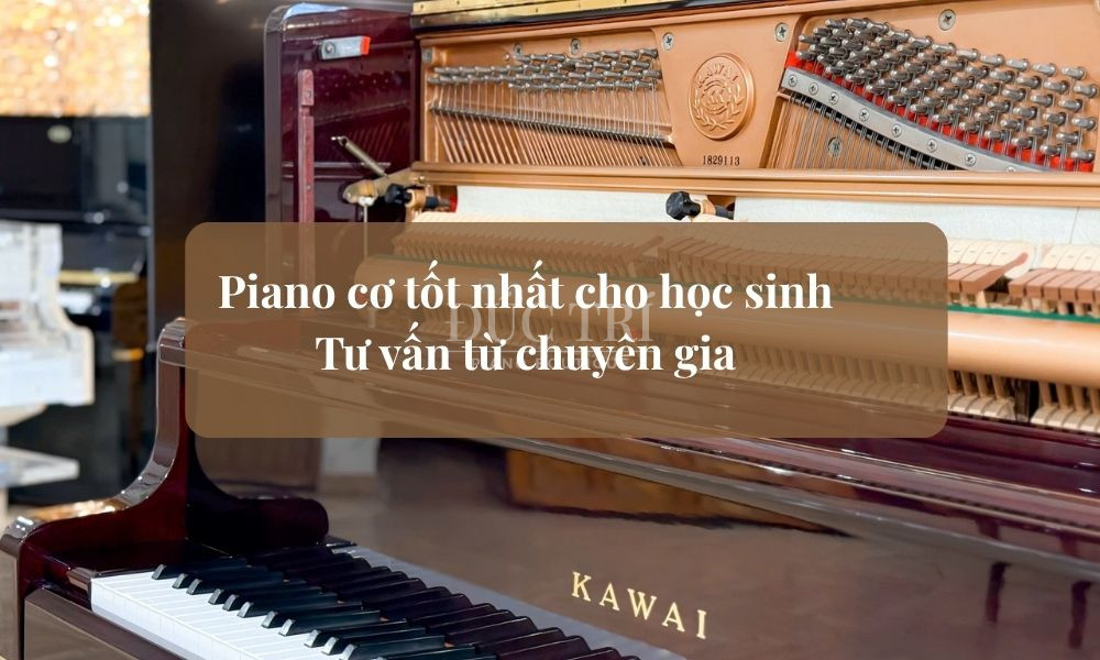 Piano cơ tốt nhất cho học sinh – Tư vấn từ chuyên gia