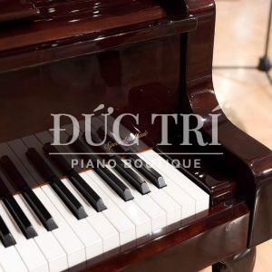 Special made Kawai DS-80B