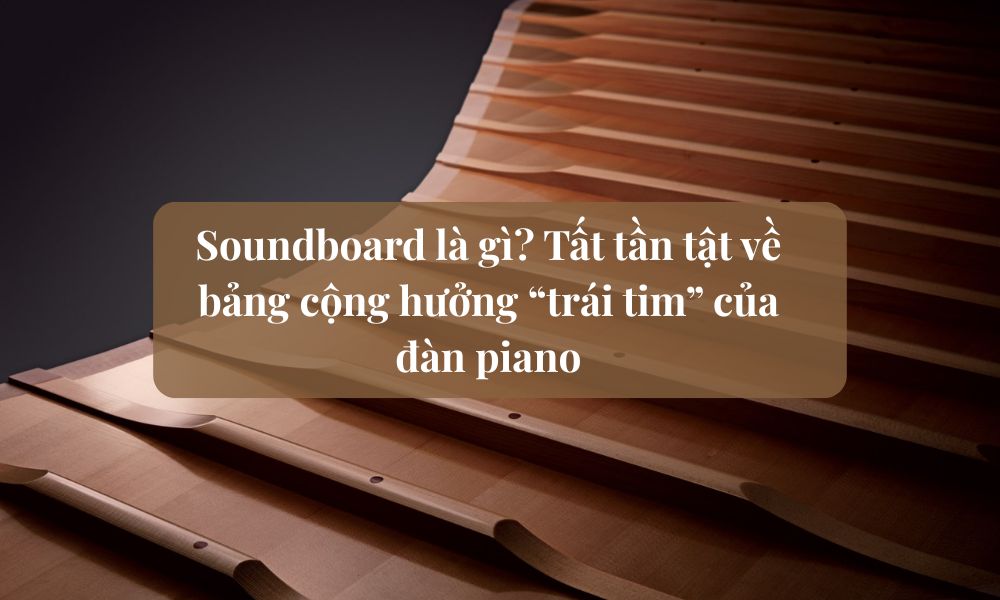 Soundboard là gì? Tất tần tật về bảng cộng hưởng “trái tim” của đàn piano