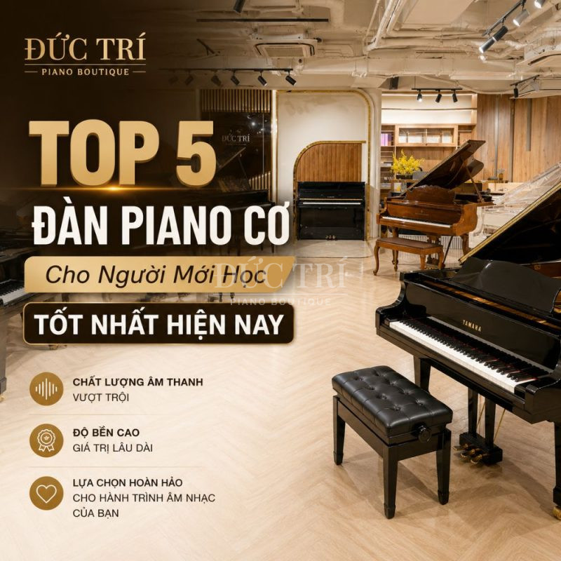 Top 5 Đàn Piano Cơ Cho Người Mới Học Tốt Nhất Hiện Nay