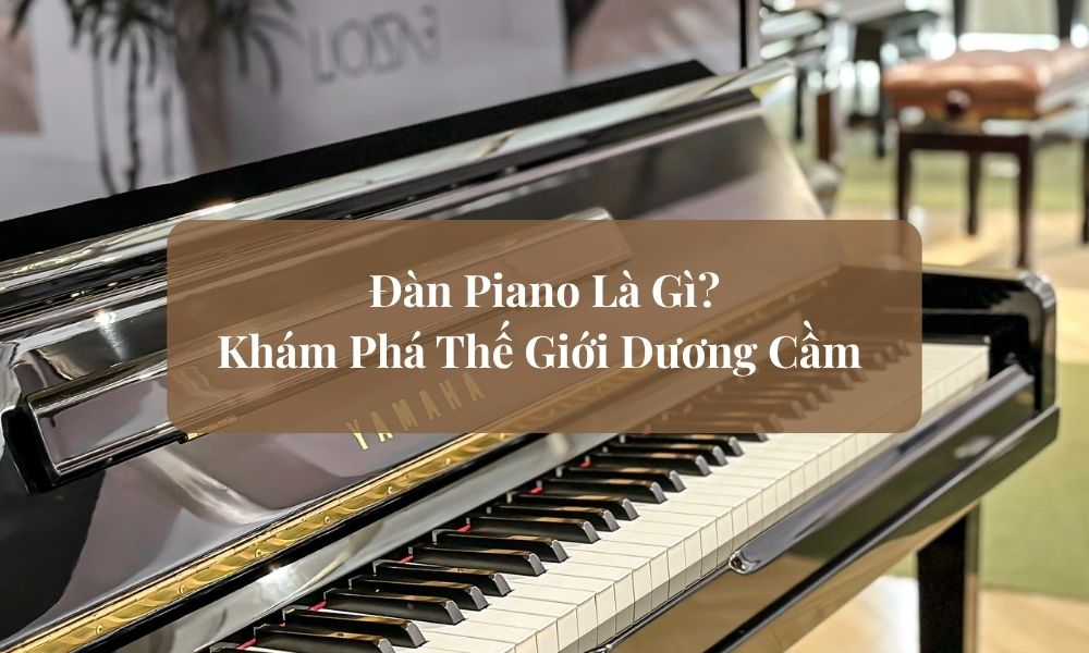 Đàn Piano Là Gì? Khám Phá Thế Giới Dương Cầm