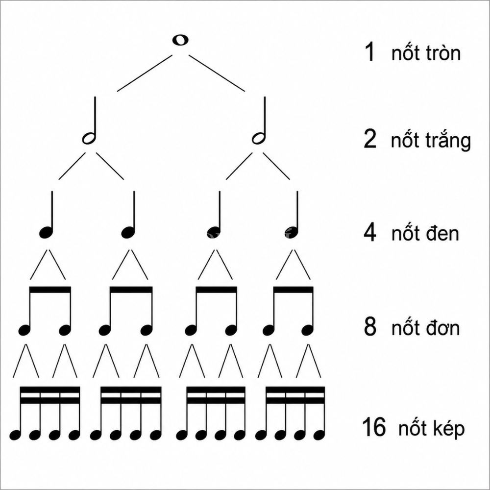 Truong do am thanh thuộc tính của âm nhạc Trường độ âm thanh