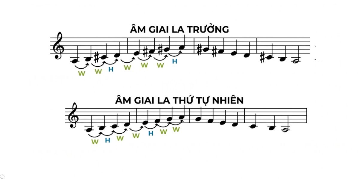 Am giai thu tu nhien va su xuat hien cua the hoa am Âm giai thứ tự nhiên và sự xuất hiện của thể hòa âm