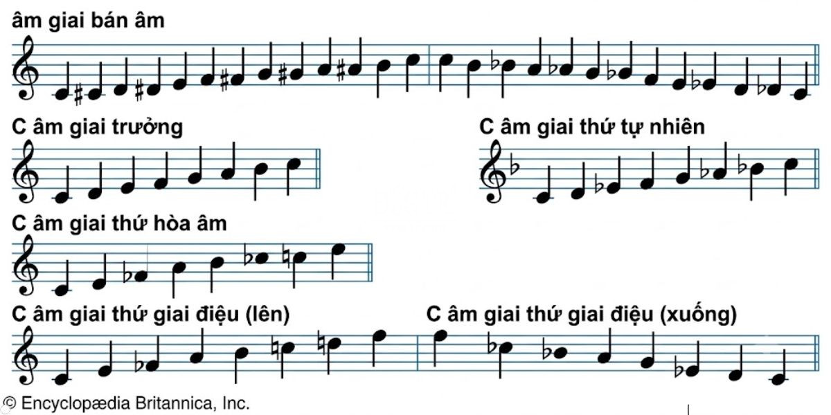 Cau tao va ba the bien the cua am giai thu Cấu tạo và thể biến thể của âm giai thứ