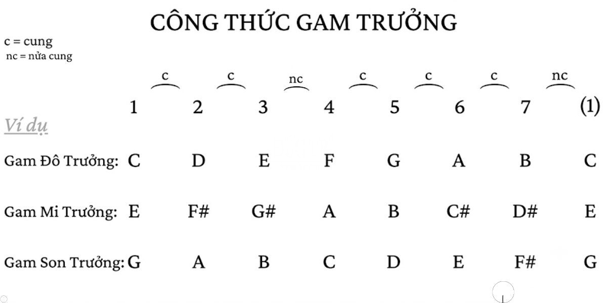 Cau tao va cong thuc chuan cua am giai truong 1 Cấu tạo và công thức chuẩn của âm giai trưởng