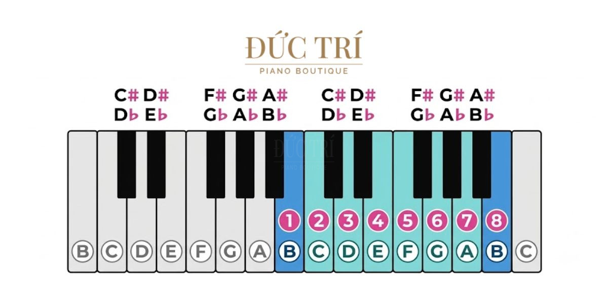Cau truc am giai Locrian tren phim dan piano Âm giai của quỷ Cấu trúc âm giai Locrian trên phím đàn piano