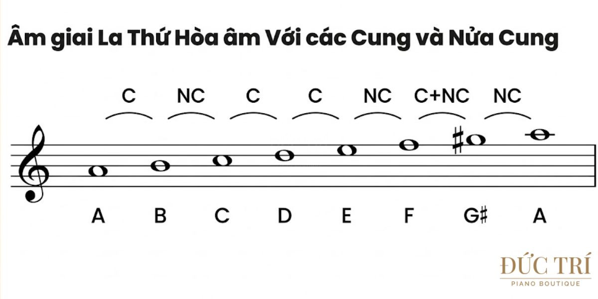 Cau truc cung bac Âm giai La thứ hòa thanh Khoảng cách cung bậc của âm giai La thứ hòa thanh