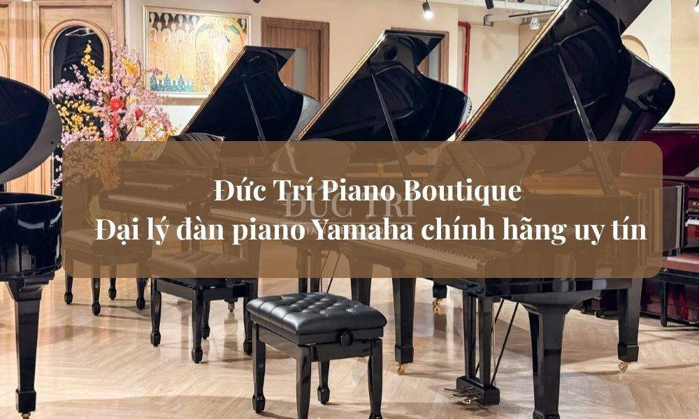 Đức Trí Piano Boutique – đại lý đàn piano Yamaha chính hãng uy tín