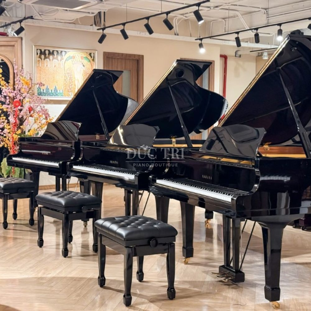 Duc Tri Piano Boutique Dai ly dan piano Yamaha uy tin đại lý đàn piano yamaha Đức Trí Piano Boutique - Đại lý đàn piano Yamaha uy tín