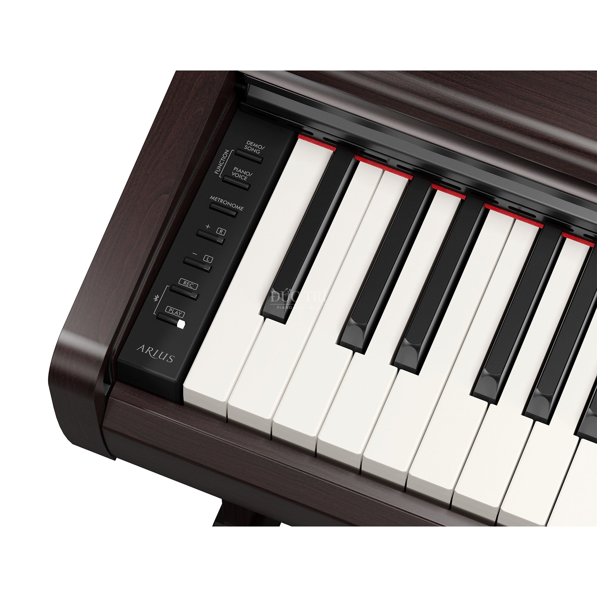 YDP 146R p 0002 tcm153 3035530 Yamaha YDP-146 ydp-146-black-phím đàn