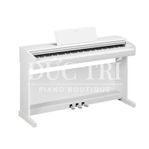 ydp-146-white- góc nghiêng