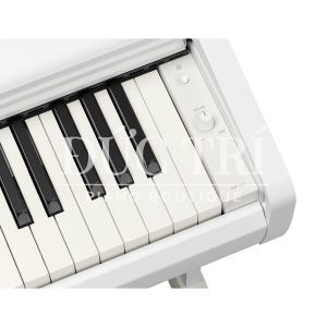 ydp-146-white-phím đàn
