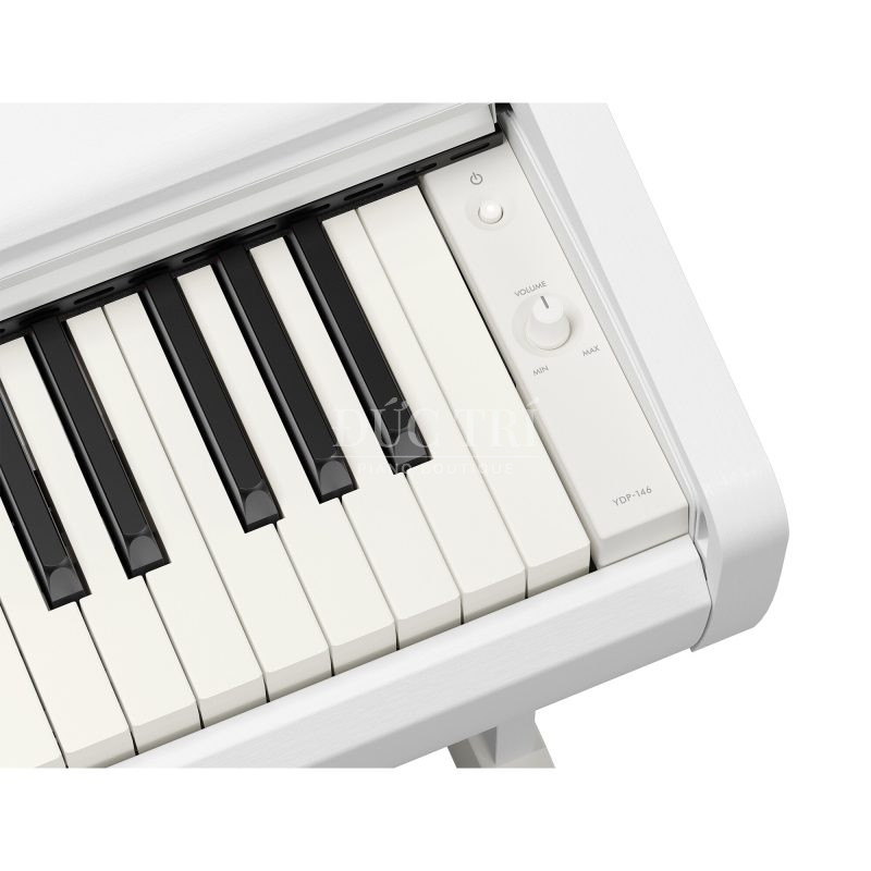 ydp-146-white-phím đàn