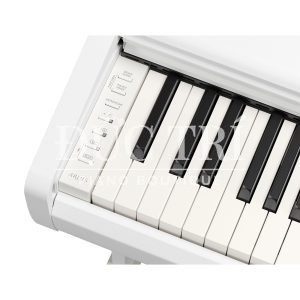 ydp-146-white-phím đàn