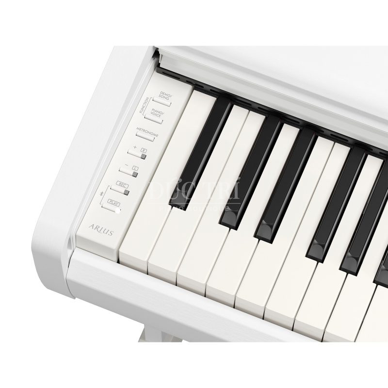 ydp-146-white-phím đàn