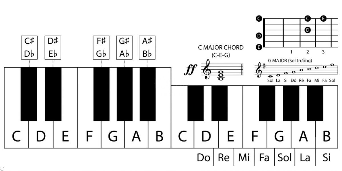 nhac ly piano Nhạc lý piano