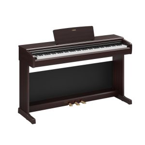 ydp-146-black-rosewood