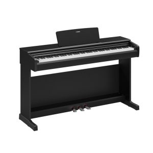 ydp-146-black