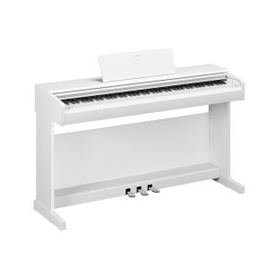 ydp-146-white