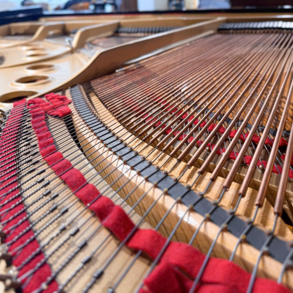 Dây bass trên đàn Steinway & Sons M170