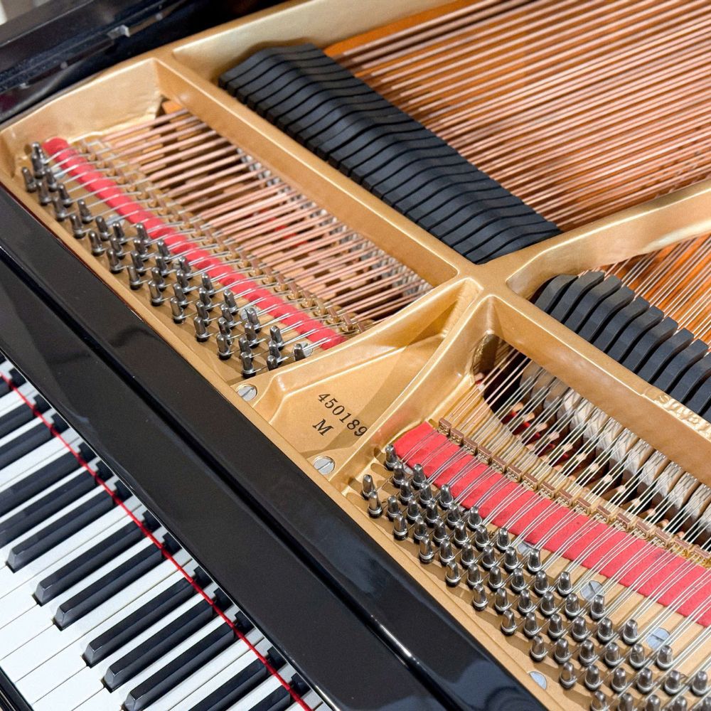 Dây đàn trên đàn Steinway & Sons M170
